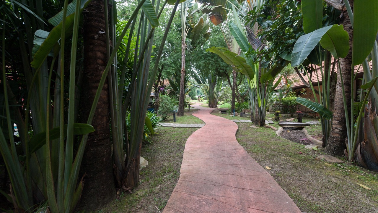 Photo of Outdoor in Mae Rim