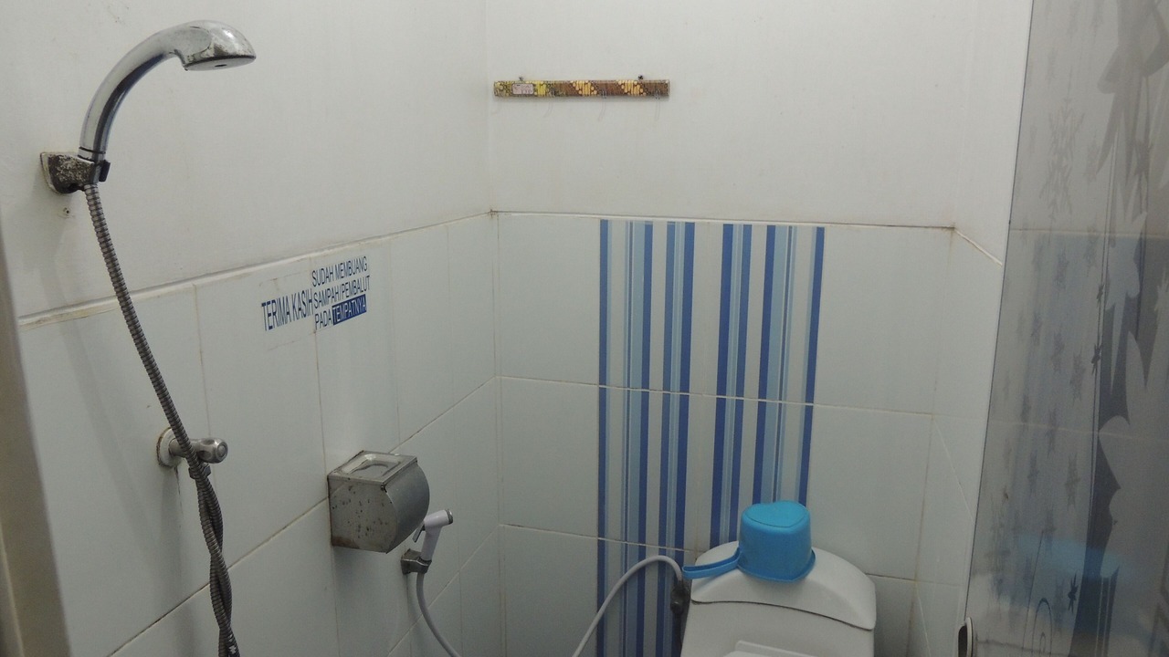 Photo of Bathroom in Dieng