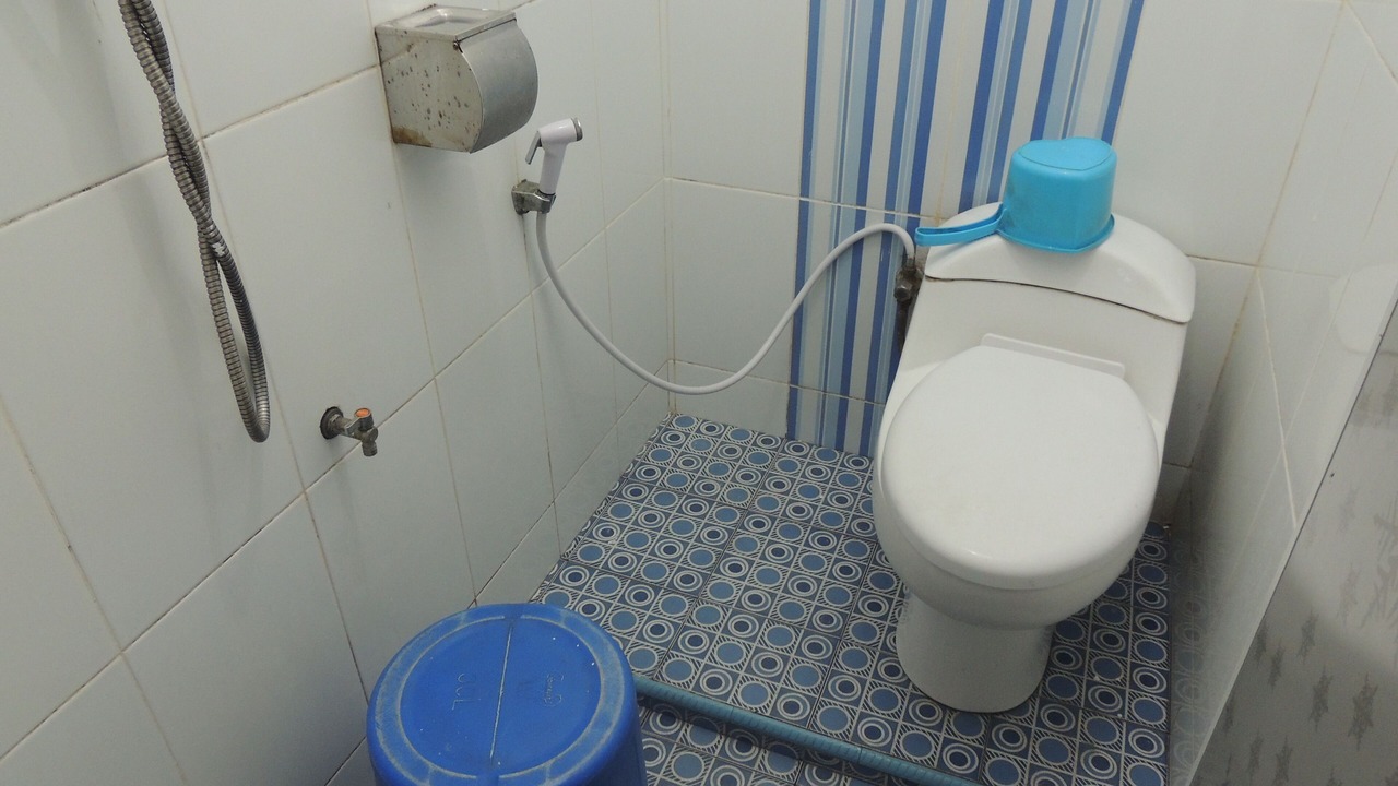 Photo of Bathroom in Dieng