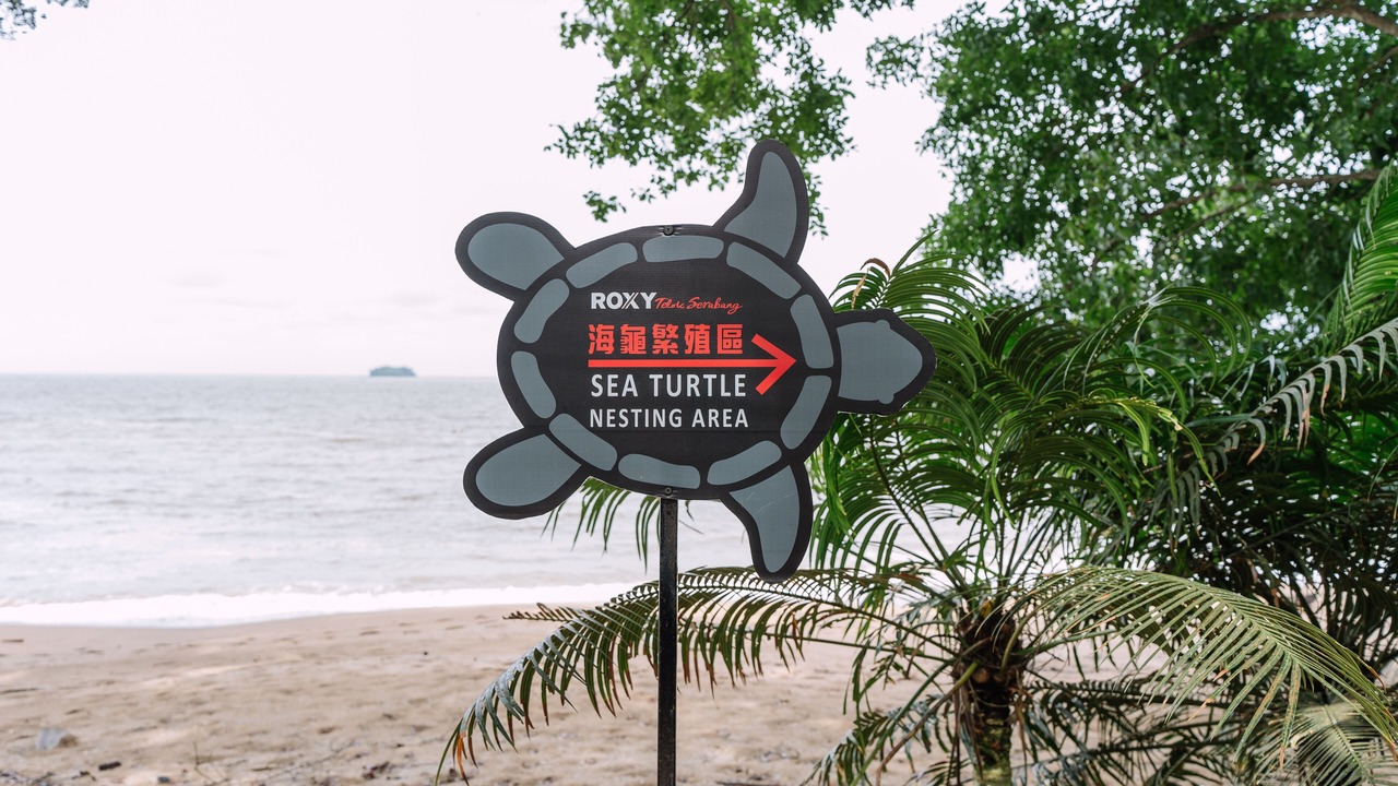 Photo of Outdoor in Lundu