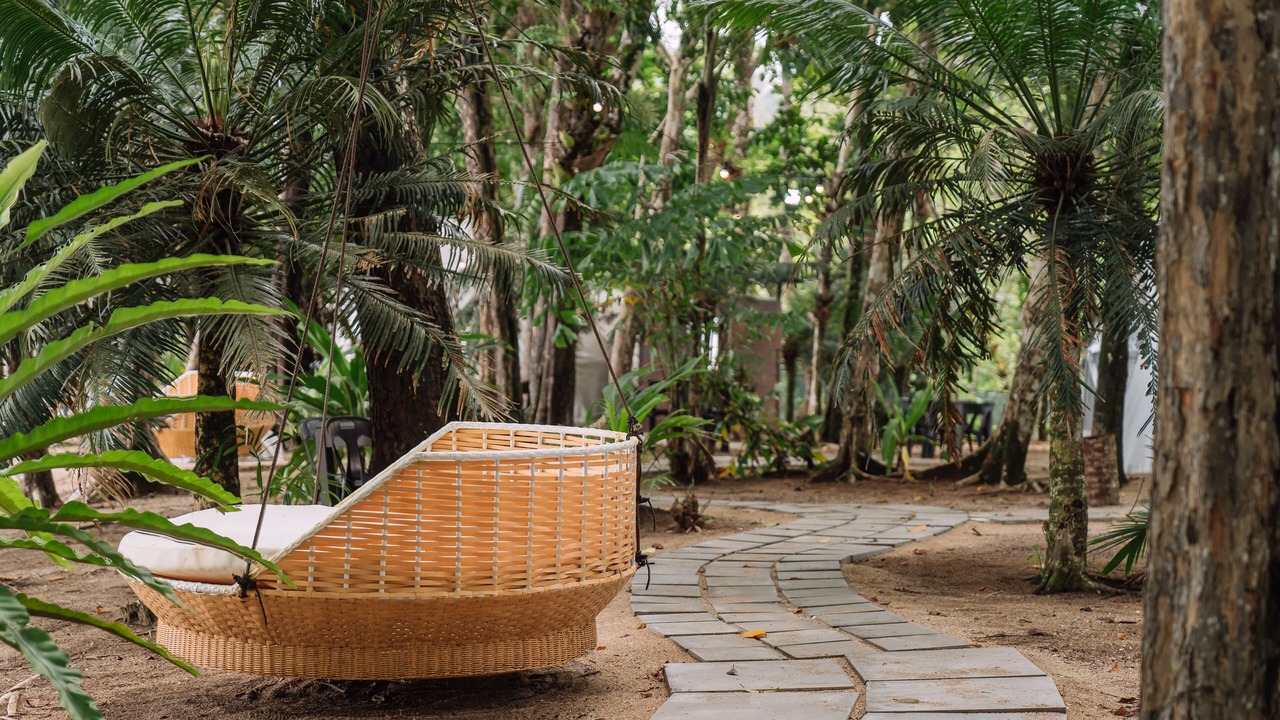 Photo of Outdoor in Lundu