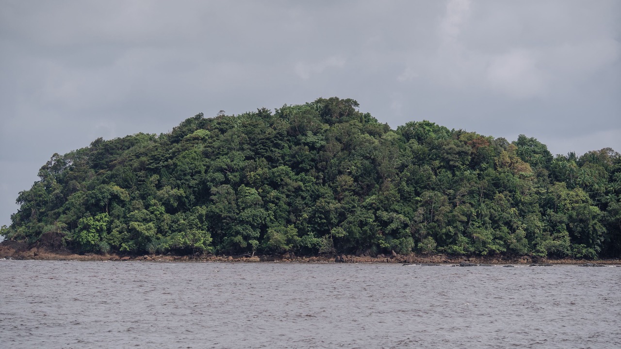 Photo of Others in Lundu