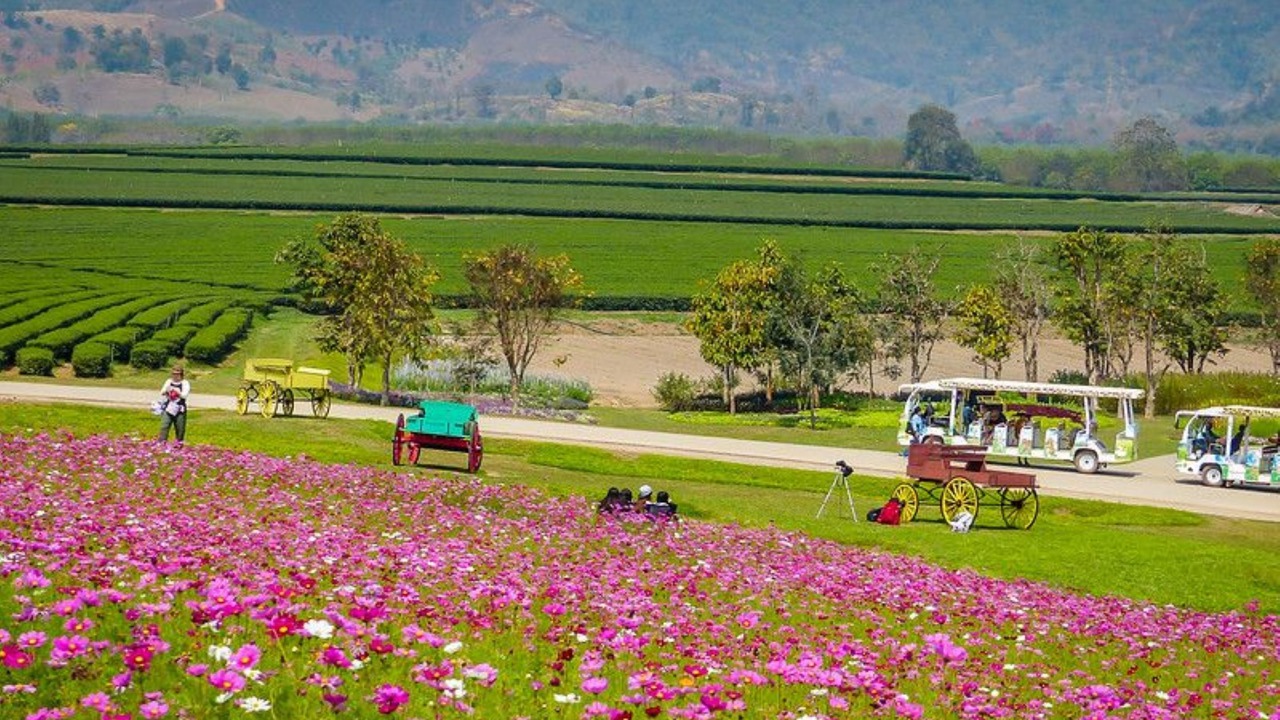 Photo of Others in Chiang Rai