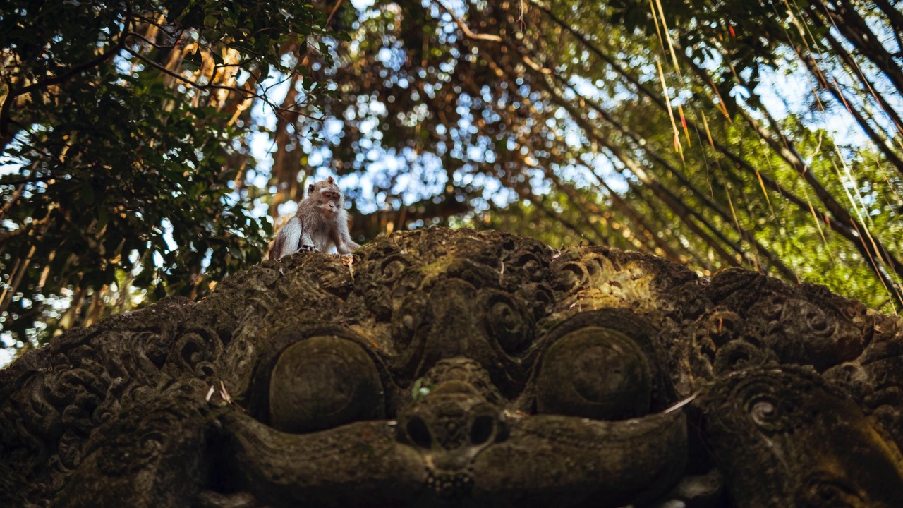 Photo of Others in Ubud
