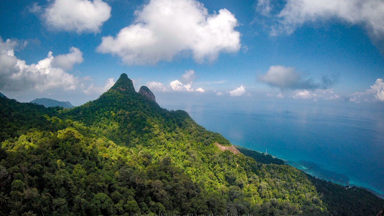 Photo of Outdoor in Tioman Island