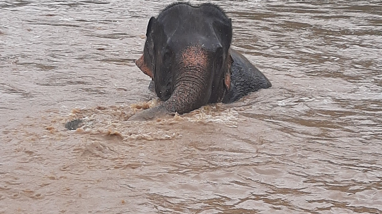 Photo of Outdoor in Chiang Mai