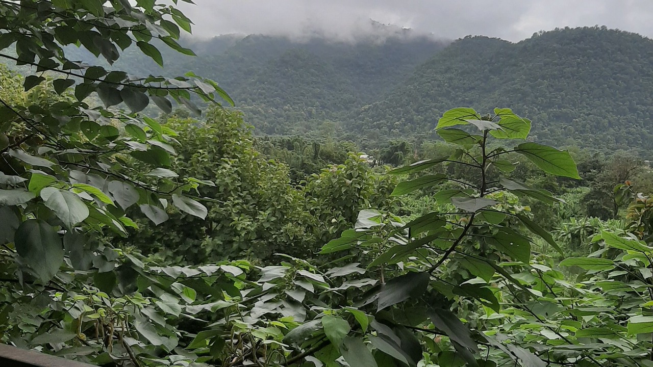 Photo of Outdoor in Chiang Mai