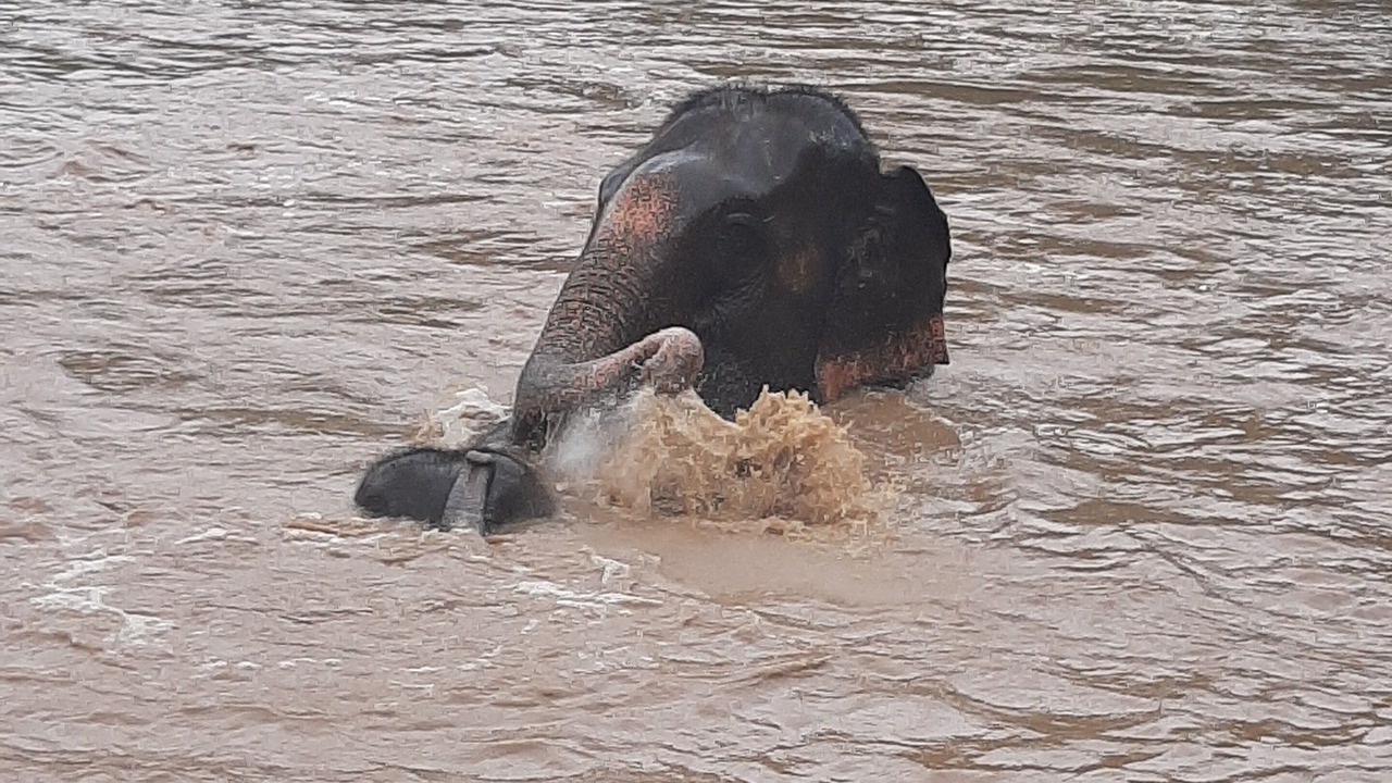 Photo of Outdoor in Chiang Mai