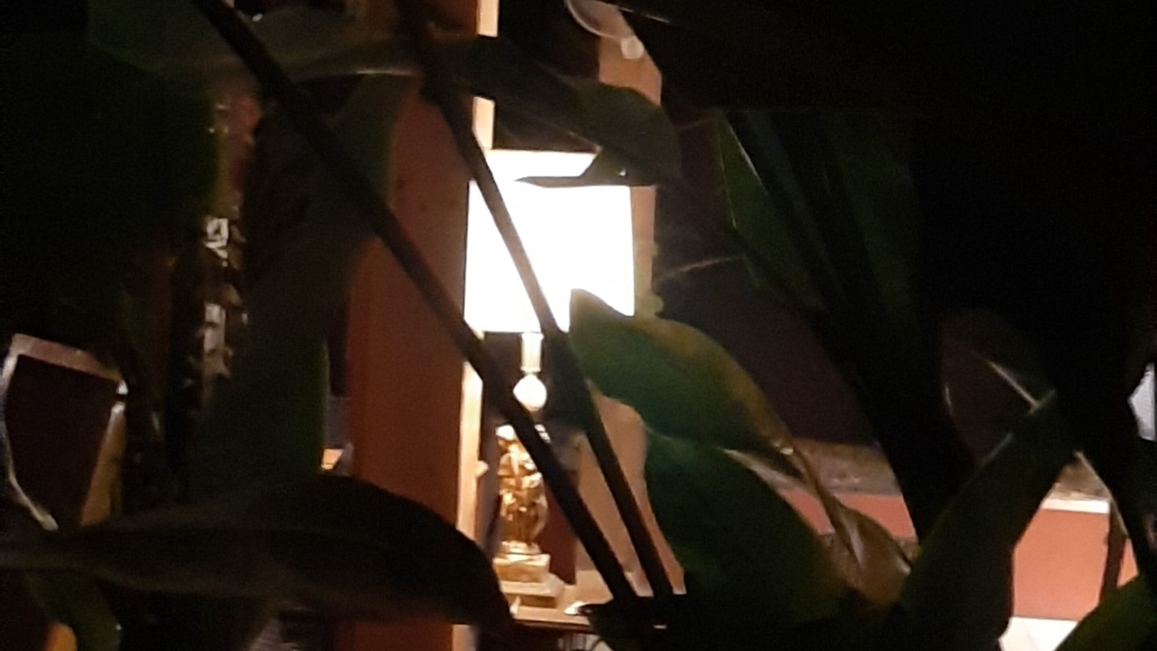 Photo of Others in Chiang Mai