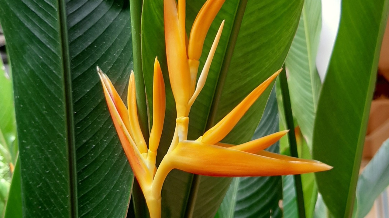 Photo of Outdoor in Chiang Mai