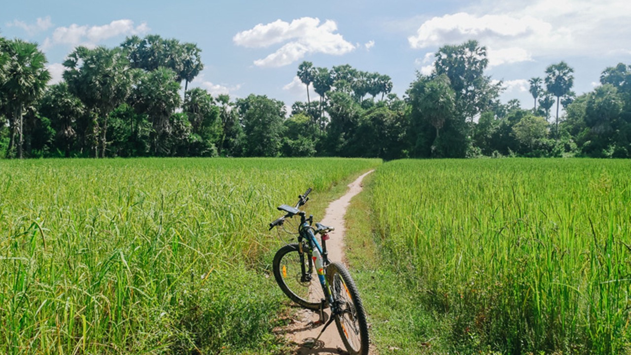 Photo of Outdoor in Siem Reap