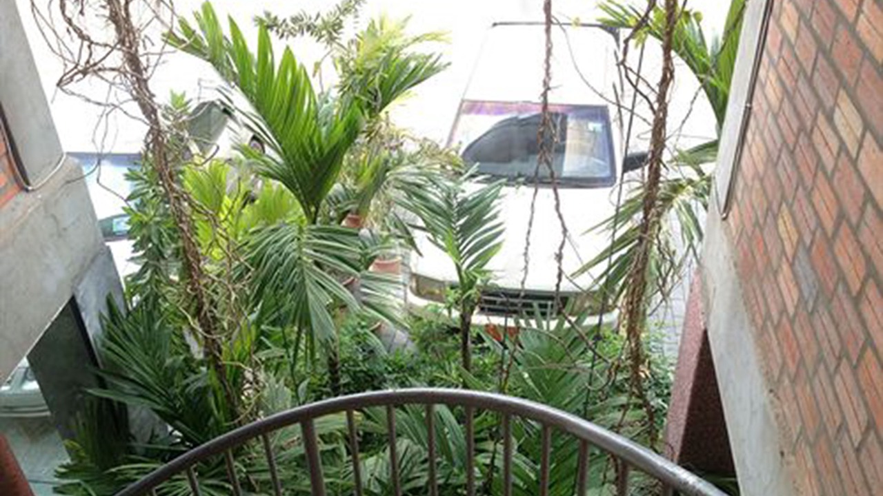 Photo of Outdoor in Taphul Village Area