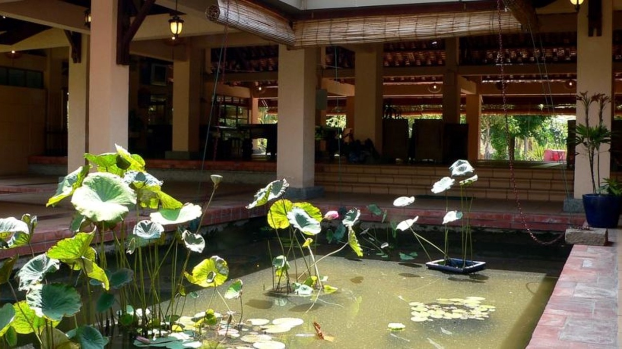 Photo of Outdoor in Can Gio