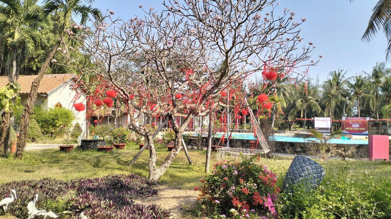 Photo of Outdoor in Can Gio