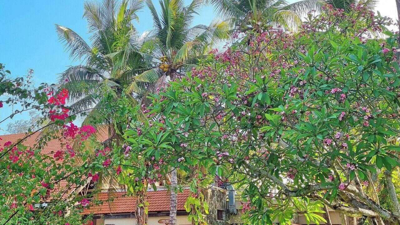 Photo of Outdoor in Can Gio