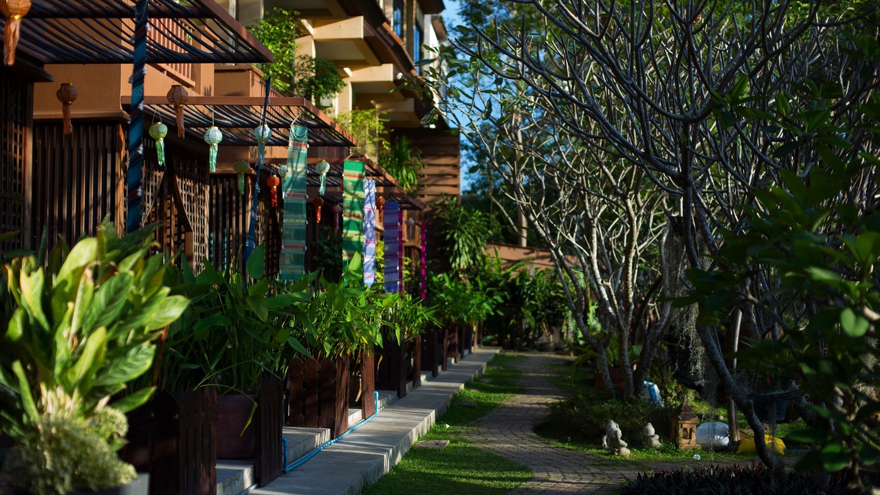 Photo of Outdoor in Chiang Mai