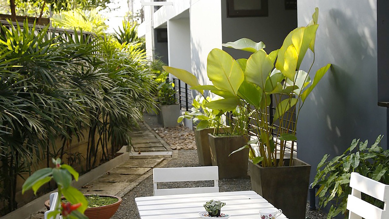 Photo of Outdoor in Wat Ket