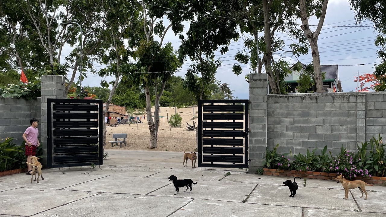 Photo of Outdoor in Ngai Giao