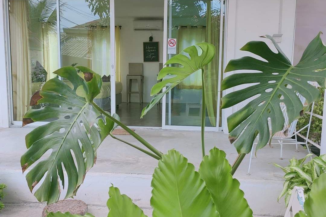 Photo of Outdoor in Koh Lan