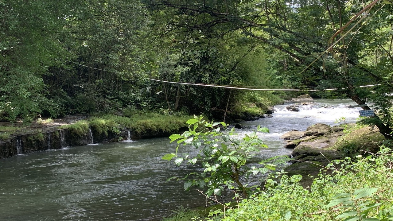 Photo of Outdoor in Srimulyo