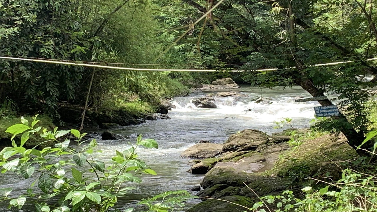 Photo of Outdoor in Srimulyo