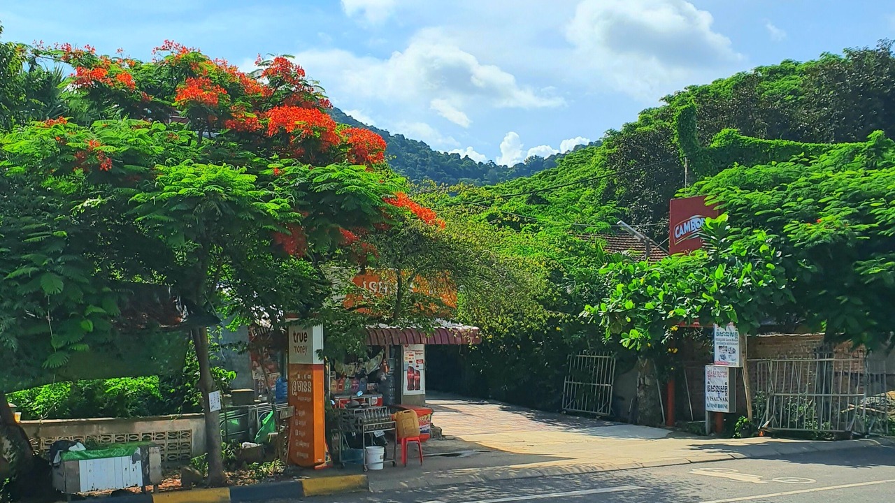 Photo of Outdoor in Kep