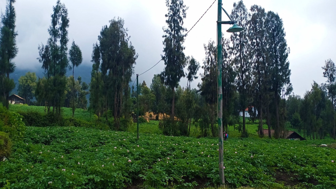 Photo of Outdoor in Ngadisari
