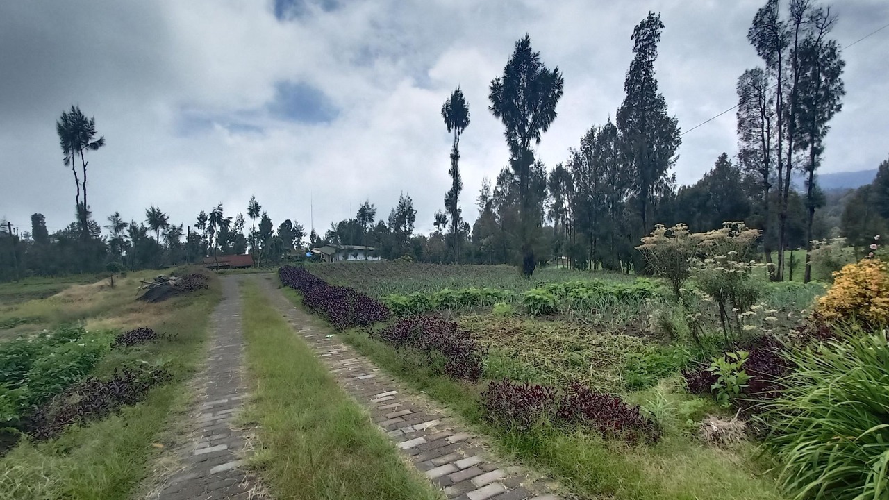 Photo of Outdoor in Ngadisari
