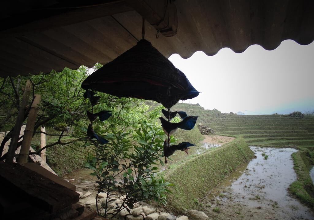 Photo of Others in Hau Thao