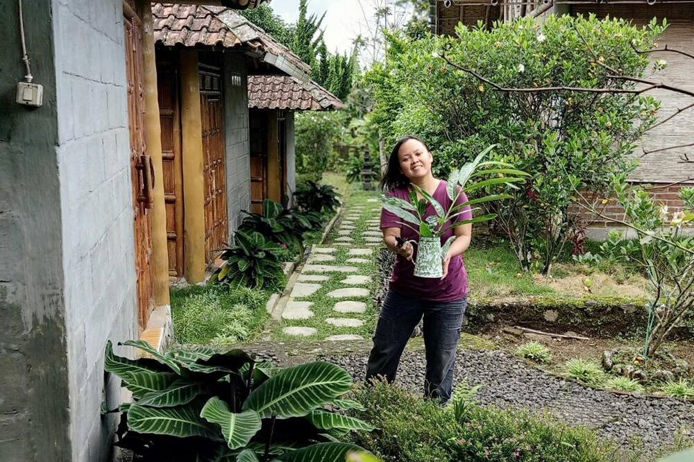 Photo of Outdoor in Wonosobo