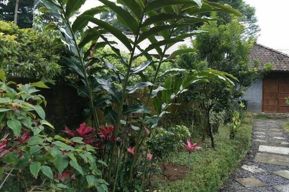 Photo of Outdoor in Wonosobo