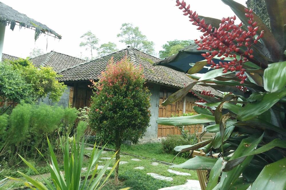 Photo of Outdoor in Wonosobo