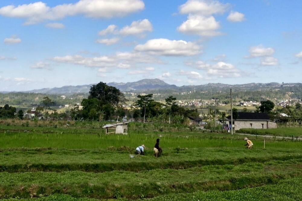 Photo of Outdoor in Wonosobo