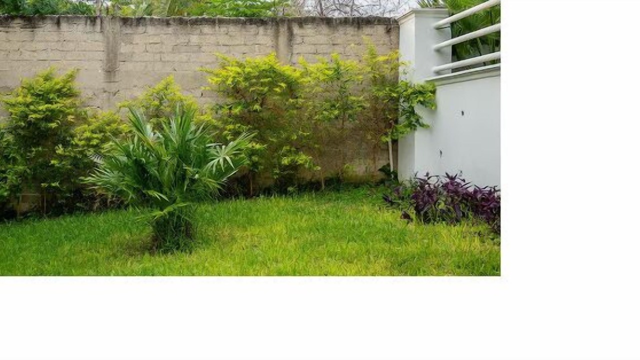 Photo of Outdoor in Santa Maria Huatulco