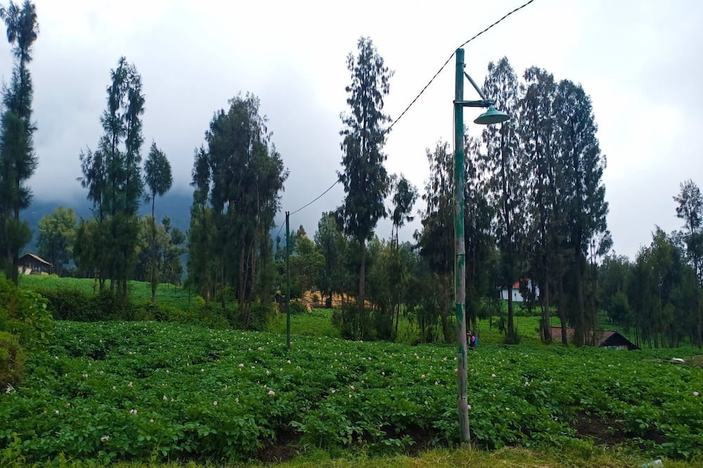 Photo of Outdoor in Ngadisari