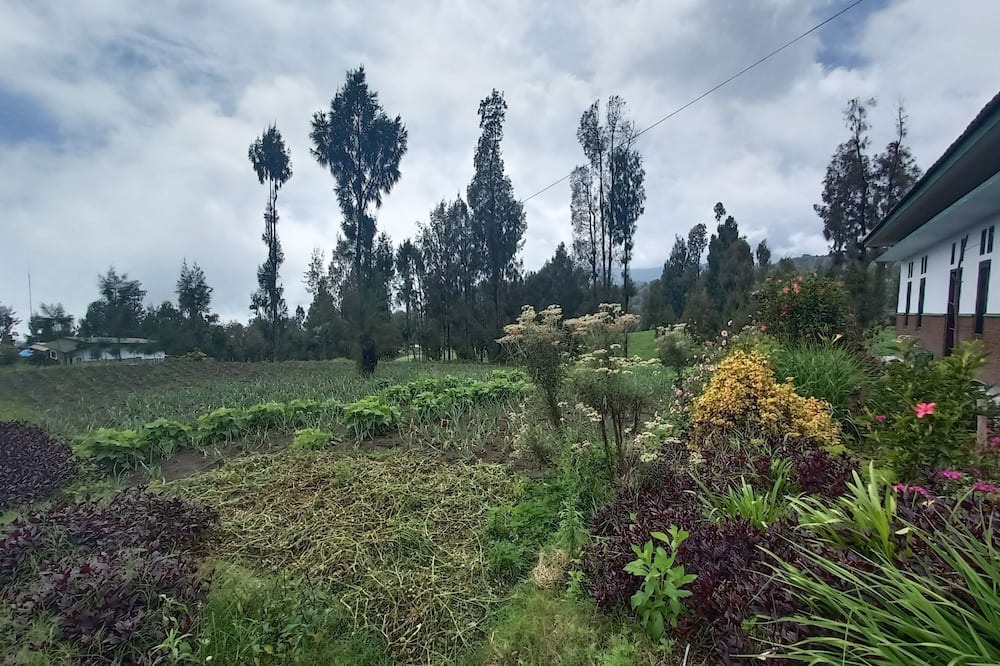 Photo of Outdoor in Ngadisari