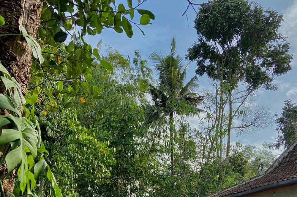 Photo of Outdoor in Candi Binangun