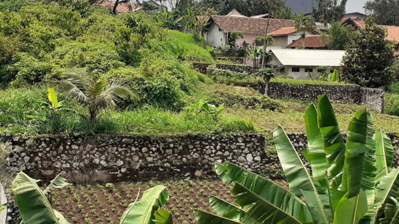 Photo of Outdoor in Ngamprah