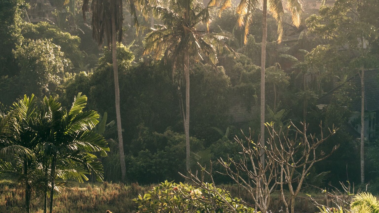 Photo of Outdoor in Mas