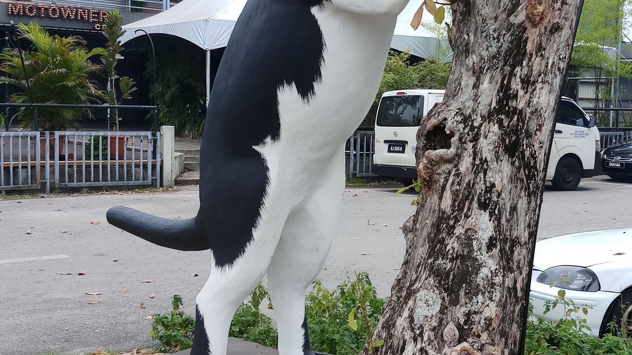 Photo of Outdoor in Kuching