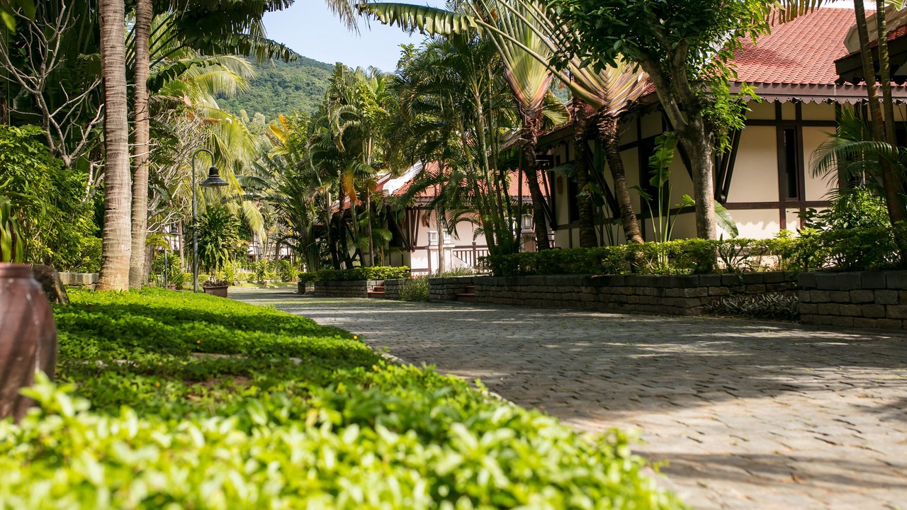 Photo of Outdoor in Son Tra