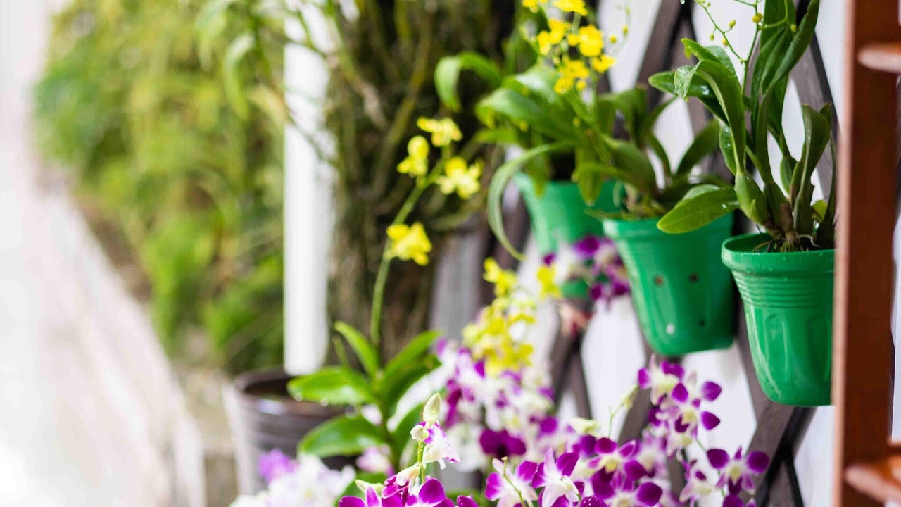 Photo of Outdoor in Binh Thuy