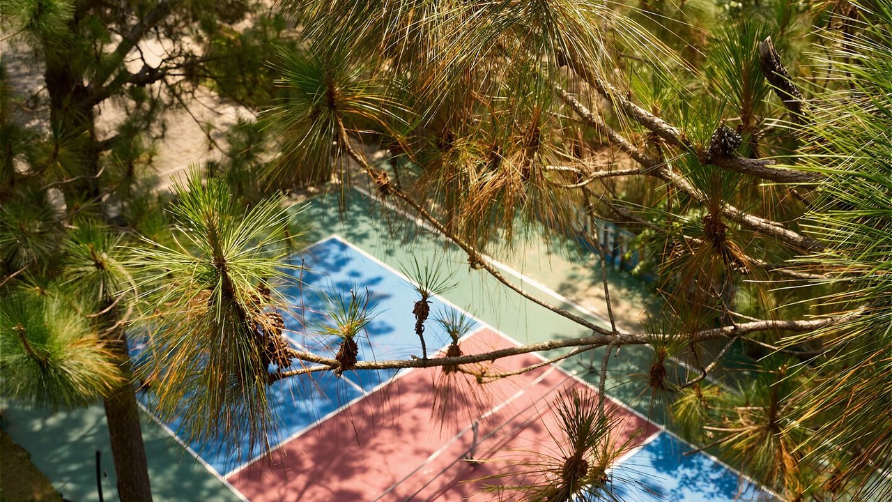 Photo of Outdoor in Da Lat