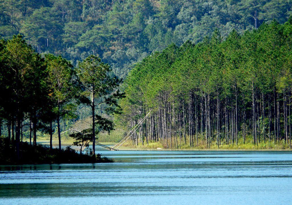 Photo of Others in Da Lat