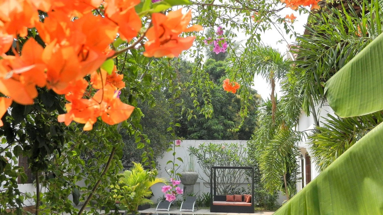 Photo of Outdoor in Taphul Village Area