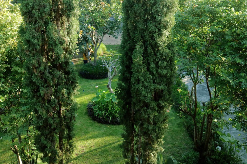 Photo of Outdoor in Toya Bungkah