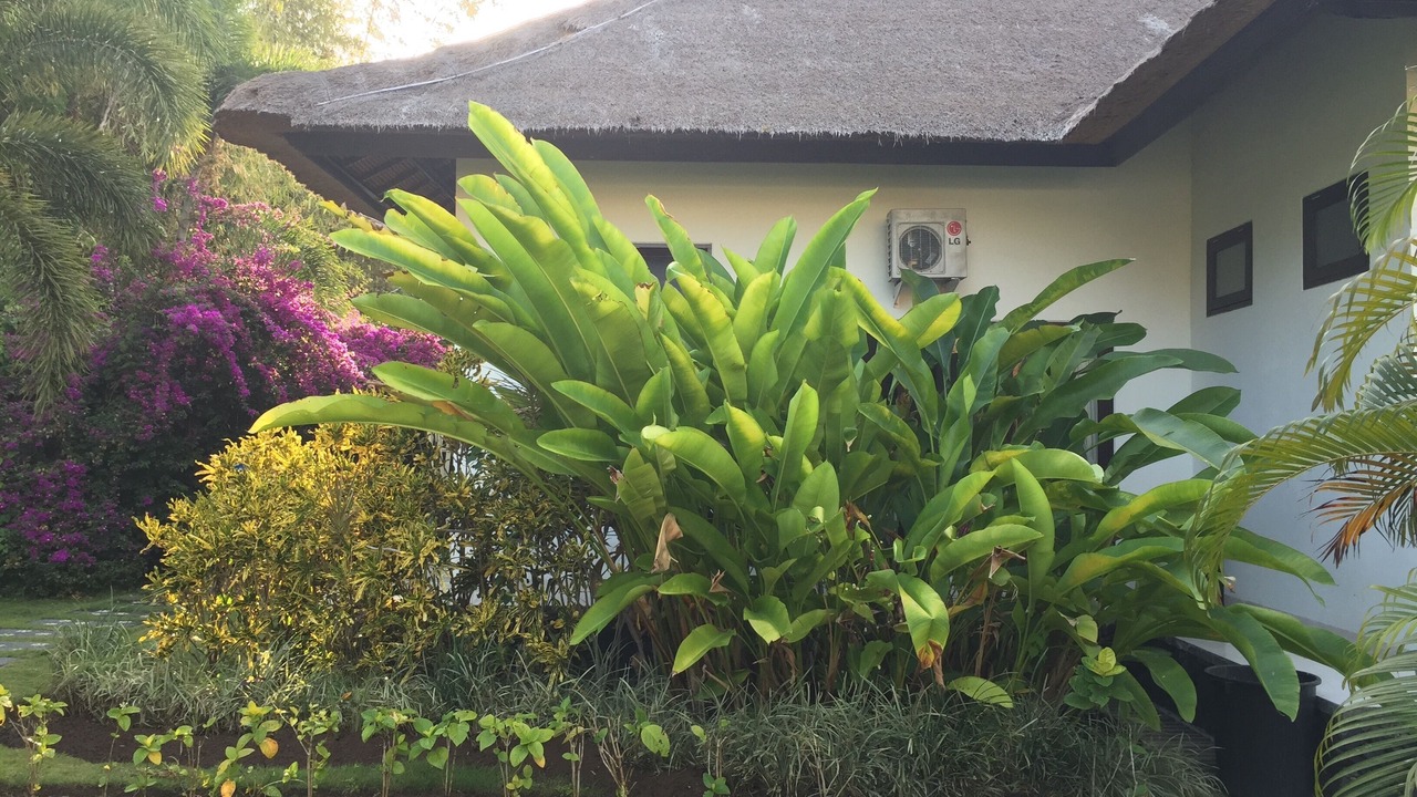 Photo of Outdoor in Umeanyar