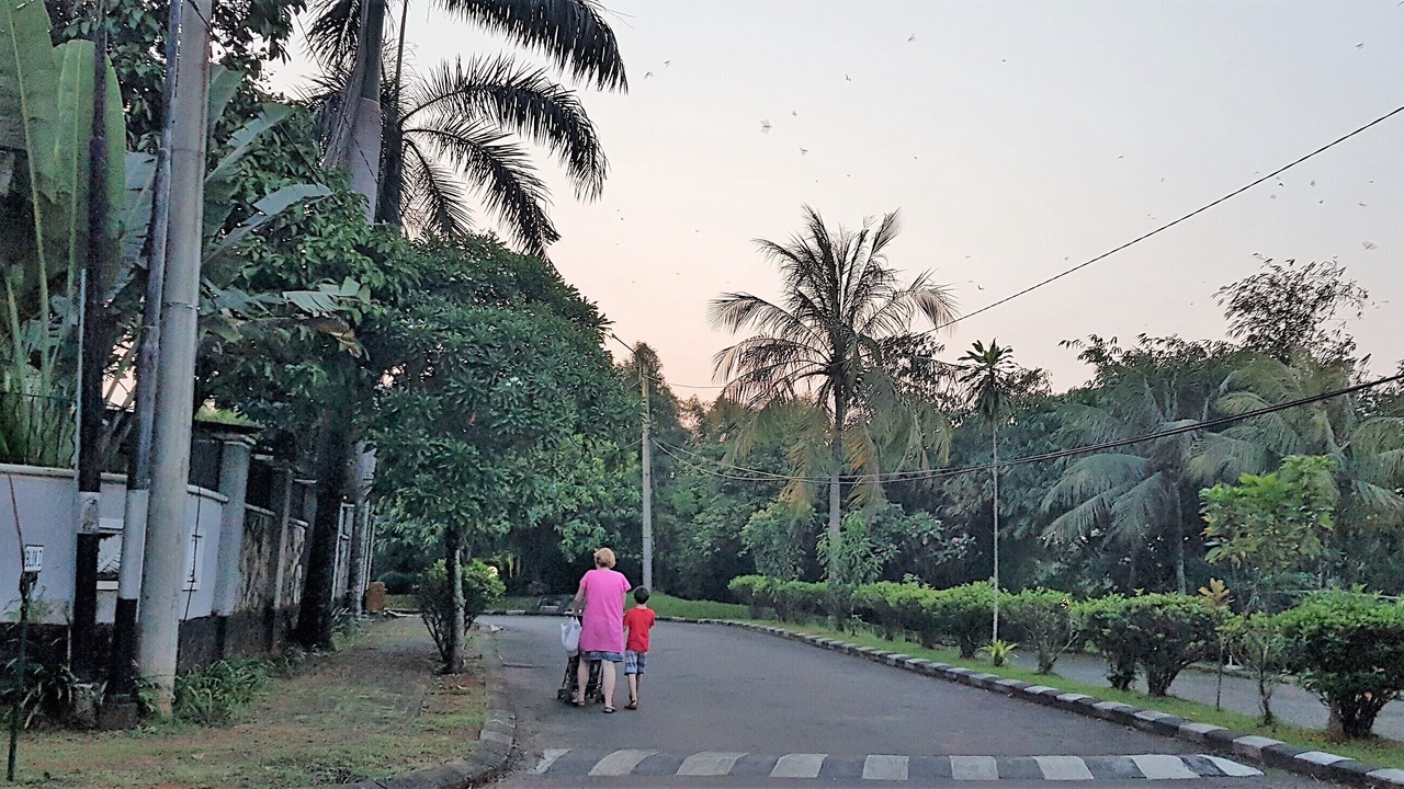 Photo of Outdoor in Depok