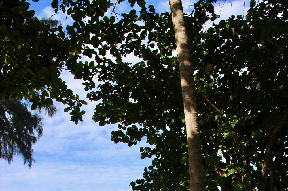 Photo of Outdoor in Krabi