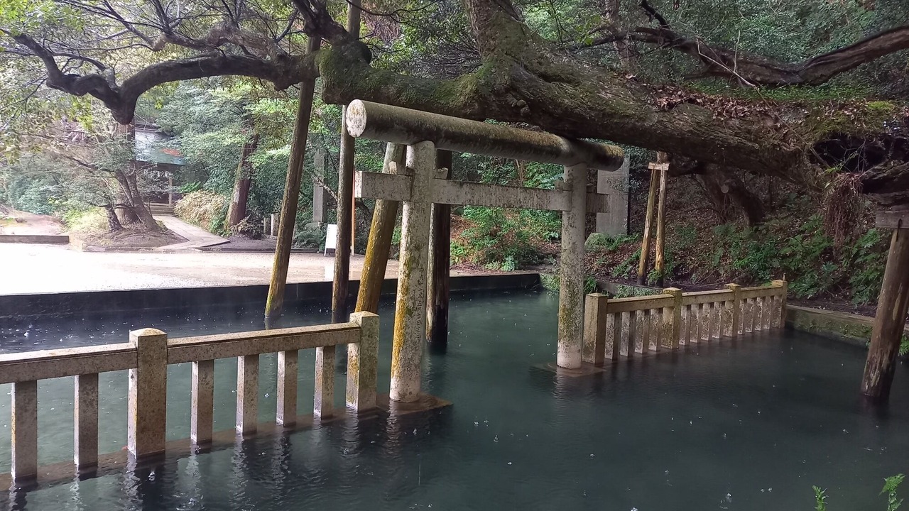Photo of Others in Katori